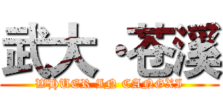 武大·苍溪 (WHUER IN CANGXI)