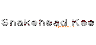 Ｓｎａｋｅｈｅａｄ Ｋｅｅｐｅｒ'ｓ  (Channa Lover's )