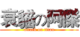 衰貓の阿傑 (attack on titan)