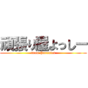 頑張り屋よっしー (from Paranics)