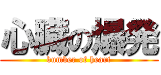 心臓の爆発 (bumber of heart)
