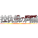 拉仇恨の阿猫 (attack on titan)