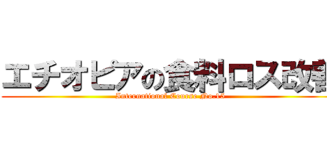 エチオピアの食料ロス改善 (International Course No.15)