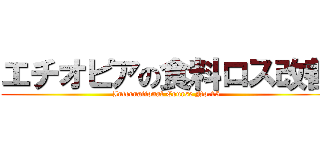 エチオピアの食料ロス改善 (International Course No.15)