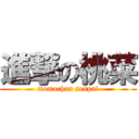 進撃の桃菜 (momochan senpai)