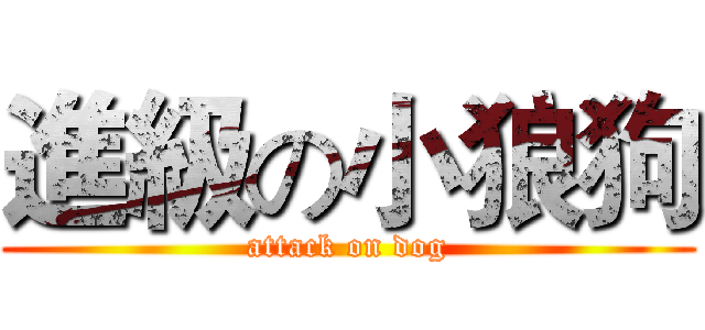 進級の小狼狗 (attack on dog)
