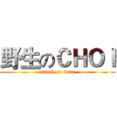 野生のＣＨＯＩ (attack on titan)