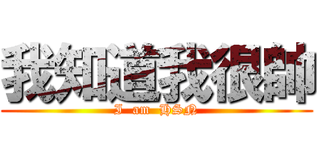 我知道我很帥 (I  am  HSN)