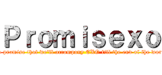 Ｐｒｏｍｉｓｅｘｏ (We promise that we\'ll accompany EXO till the end of the world)