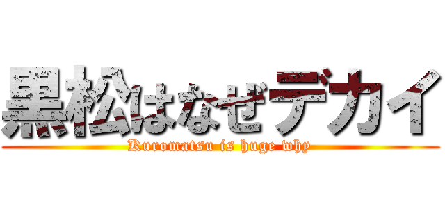 黒松はなぜデカイ (Kuromatsu is huge why)