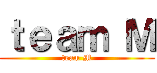 ｔｅａｍ Ｍ (team M)