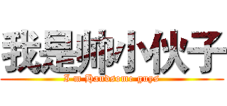 我是帅小伙子 (I m Handsome guys)