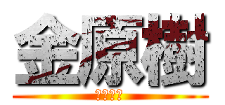 金原樹 (キムゲン)