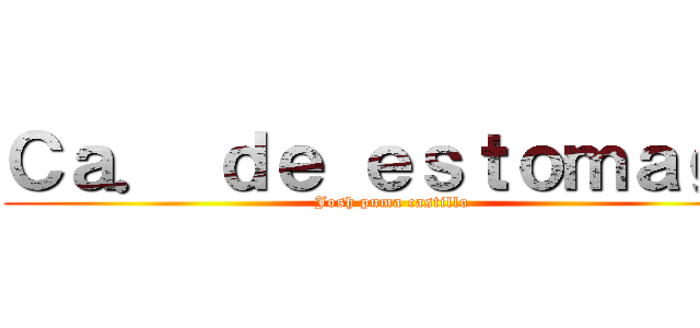 Ｃａ． ｄｅ ｅｓｔｏｍａｇｏ (Josh puma castillo)