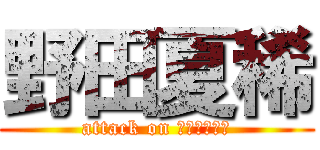 野田夏稀 (attack on ミートボール)