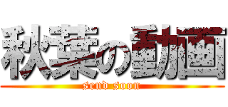 秋葉の動画 (send soon)