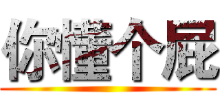 你懂个屁 ()