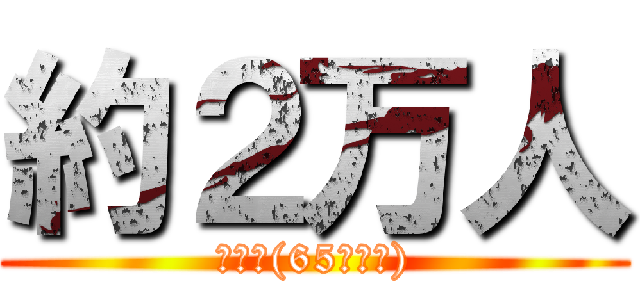 約２万人 (高齢者(65歳以上))