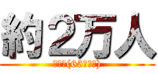 約２万人 (高齢者(65歳以上))