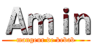 Ａｍｉｎ (mangeur de kebab)