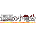 逗逼の小龟公 (attack on titan)