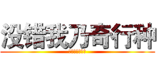 没错我乃奇行种 (没错我乃奇行种)