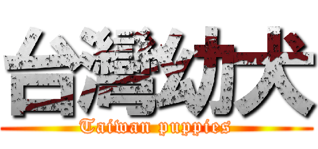 台灣幼犬 (Taiwan puppies)