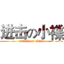 进击の小褋 (attack on titan)