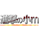 進撃の小ｍ (attack on titan)