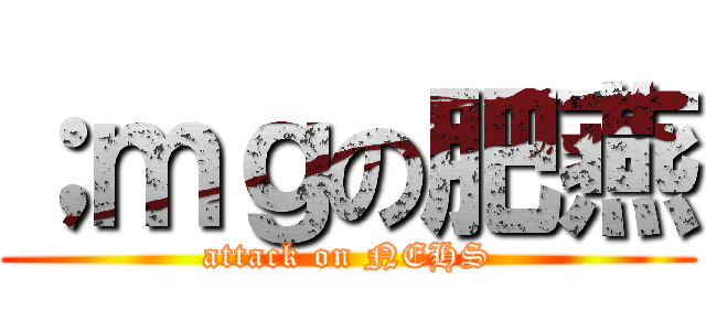 ；ｍｇの肥燕 (attack on NEHS)