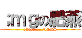 ；ｍｇの肥燕 (attack on NEHS)