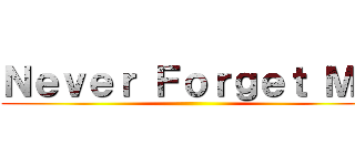 Ｎｅｖｅｒ Ｆｏｒｇｅｔ Ｍｅ ()
