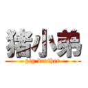 猪小弟 (pig brother)