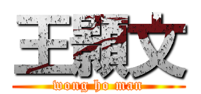 王顥文 (wong ho man)