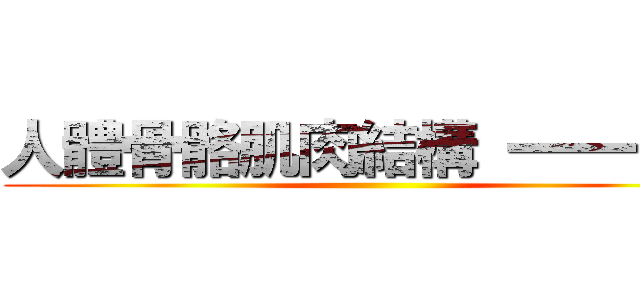 人體骨骼肌肉結構 一一一一 ()