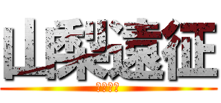 山梨遠征 (東鴨居中)