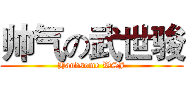 帅气の武世骏 (Handsome WSJ)