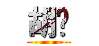 胡扯 ()