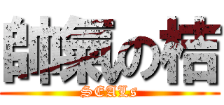 帥氣の桔 (SEALs)