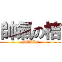 帥氣の桔 (SEALs)