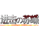 进击の苏蝶 (attack on SOO)