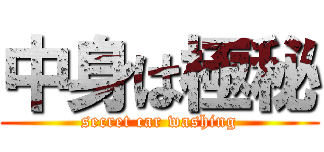 中身は極秘 (secret car washing)