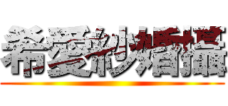 希愛紗婚攝 ()