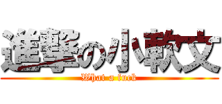進撃の小軟文 (What a fuck)
