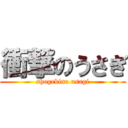 衝撃のうさぎ (shogekino usagi)