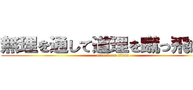 無理を通して道理を蹴っ飛ばす！ (attack on titan)