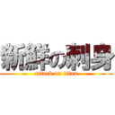 新鮮の刺身 (attack on titan)