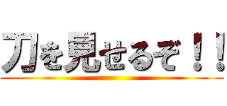 刀を見せるぞ！！ ()