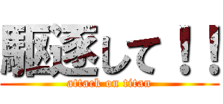 駆逐して！！ (attack on titan)