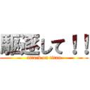 駆逐して！！ (attack on titan)